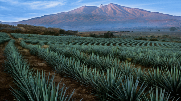 Jalisco_Portada